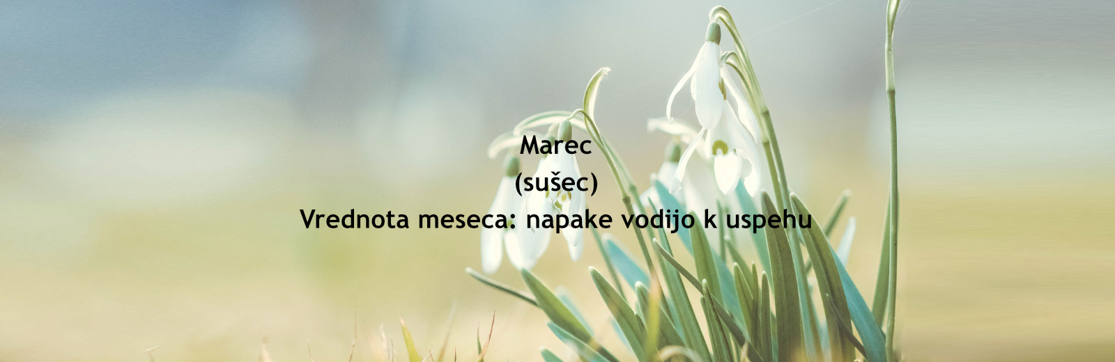 Marec_napake