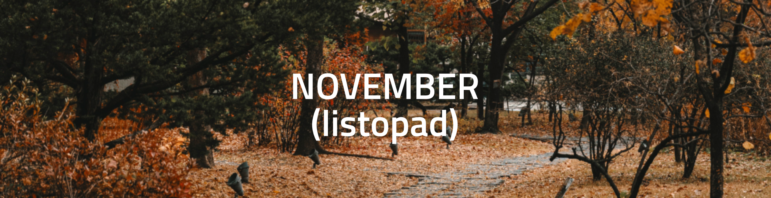 nov_listop1