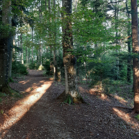 20231003_074950