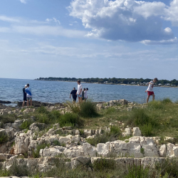 IMG-3998